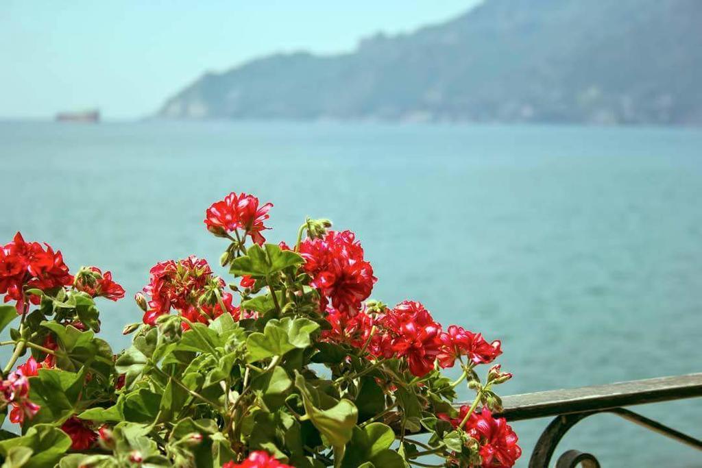 B&B Fronte Del Mare Salerno Kültér fotó